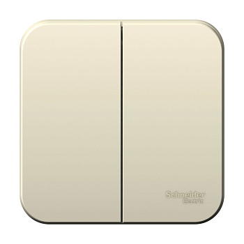 BLANCA О/У 2-клавишный ВЫКЛЮЧАТЕЛЬ (сх.5), 6А, 250В, МОЛОЧНЫЙ