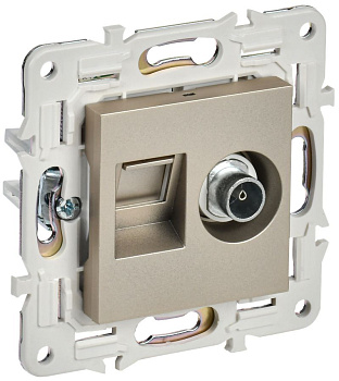 SKANDY Роз. двойная TV+RJ45 кат.6 SK-A15Sh шамп. IEK