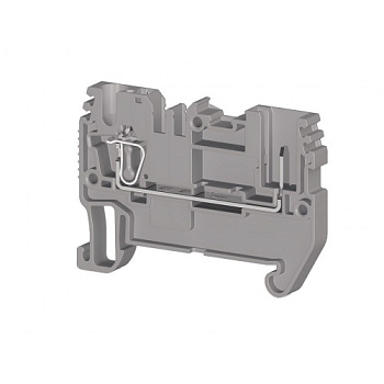 Двухполюсовая пружинно-зажимная клемма CTP 2,5 (серый)