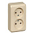 ЭТЮД О/У двойная РОЗЕТКА без заземления без шторок 16А 250B, КРЕМОВЫЙ, Россия